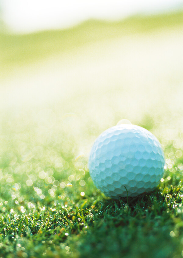 绿草地上的高尔夫球图片