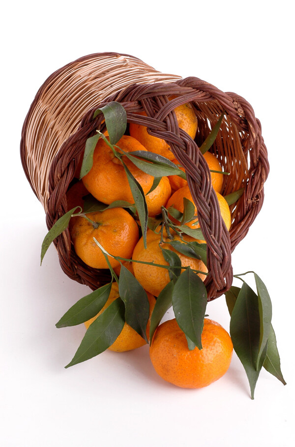 竹篮里的橘子图片