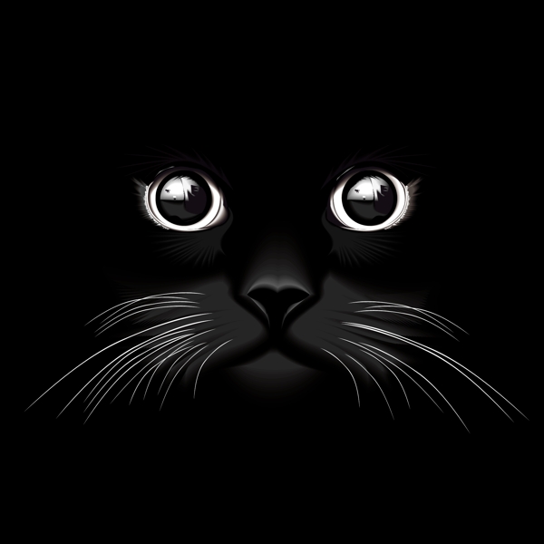 黑猫的眼睛矢量