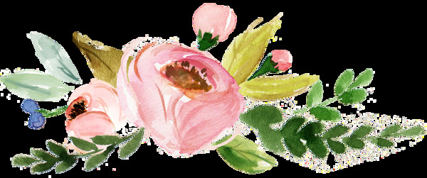 水彩绘画花卉透明素材