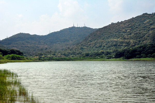 黄山鲁森林公园湖景图片