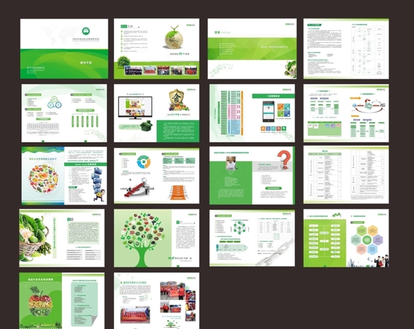 绿色环保健态食品画册