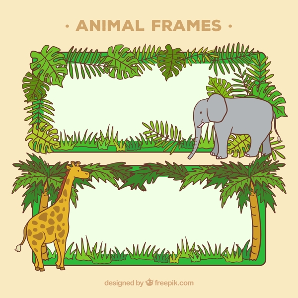 野生动物框架设计