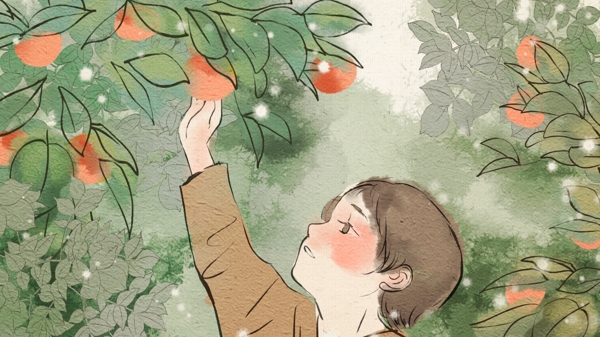 水彩手绘风霜降节气摘柿子的小孩