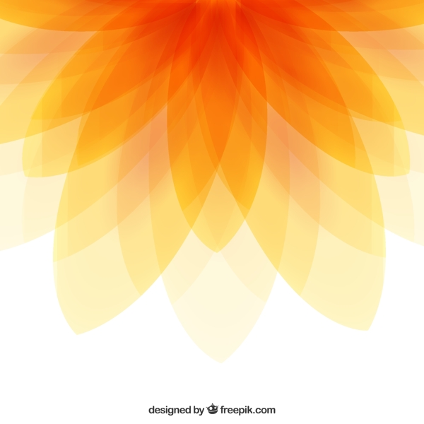 橙色花形背景