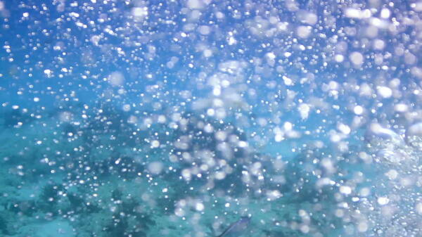 水下气泡运动的背景视频免费下载
