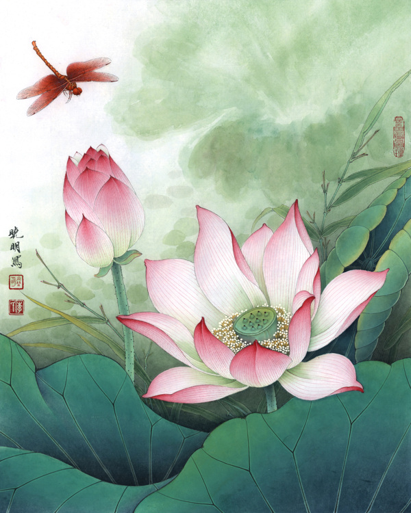 2012荷花红蜻蜓1