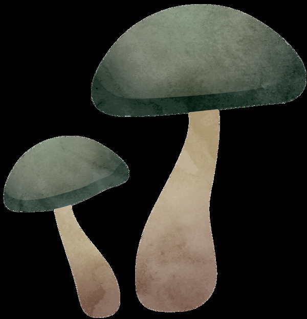 手绘黑白色小蘑菇装饰图案