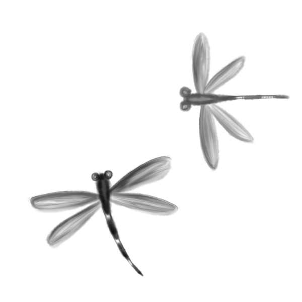 原创手绘国画蜻蜓昆虫