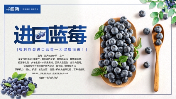 创意进口智利新鲜蓝莓水果促销展架