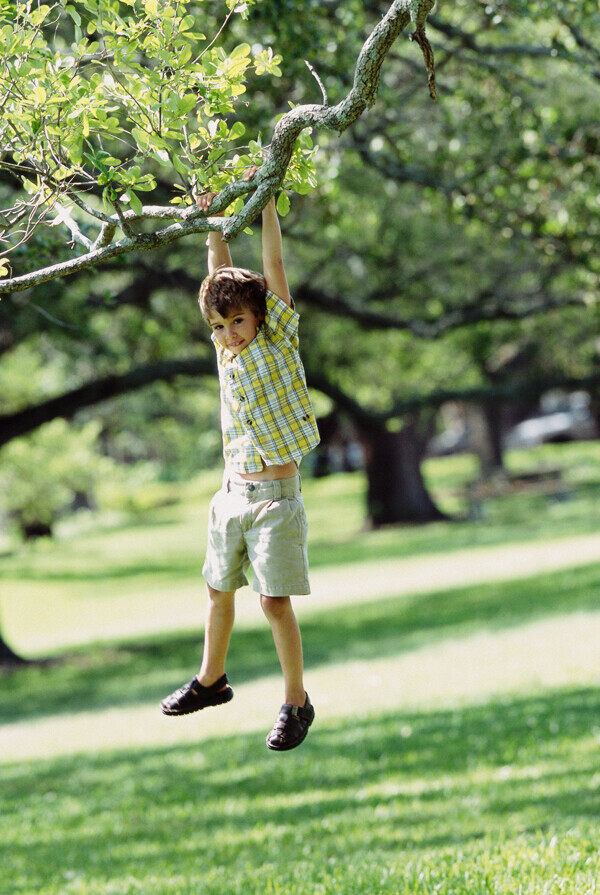 吊在树枝上玩耍的小男孩图片