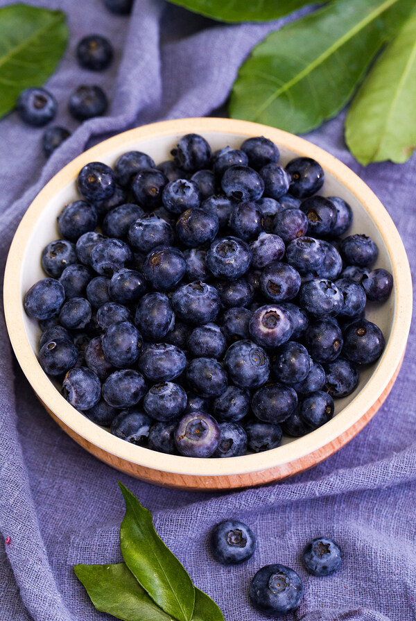 蓝莓水果果实背景海报素材图片