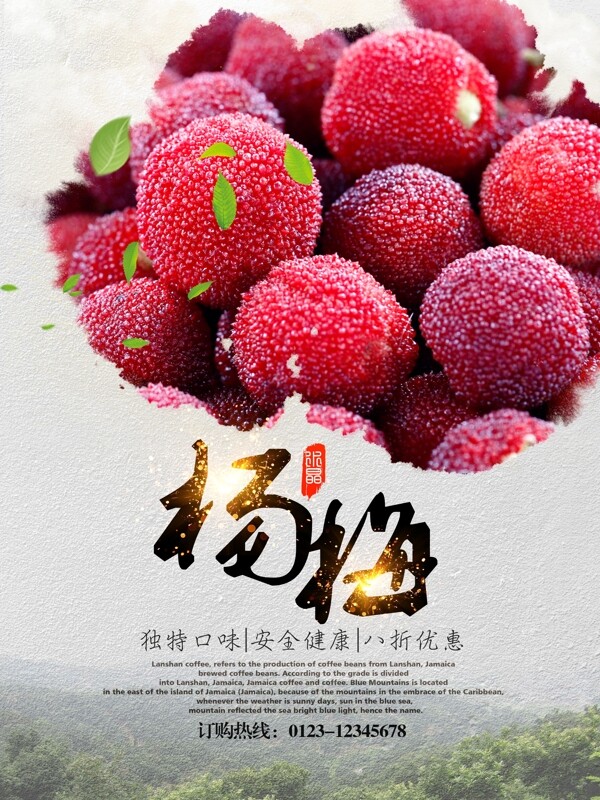 夏季新鲜杨梅水果优惠促销海报高清