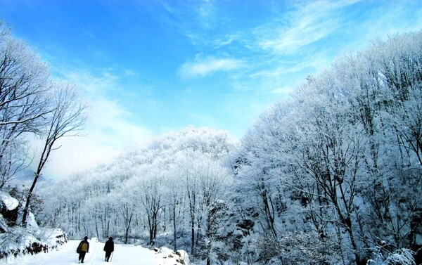 洛阳天池山图片