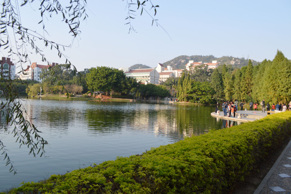 厦大风景图片