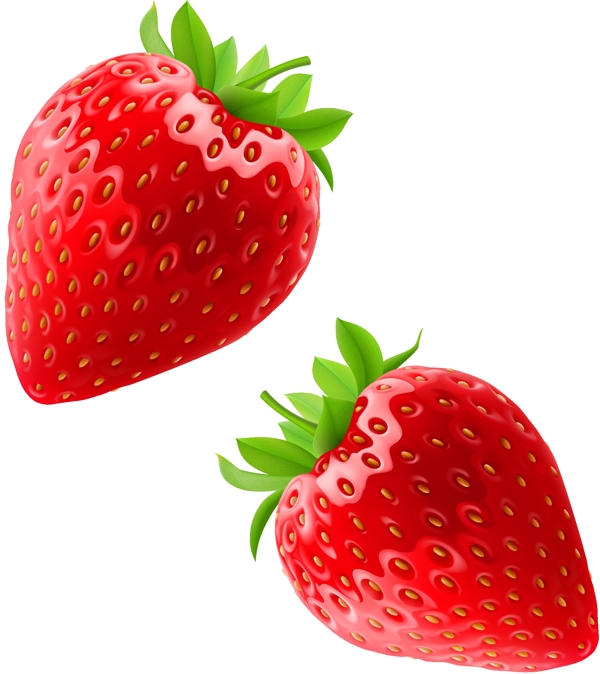 红色草莓矢量素材图片