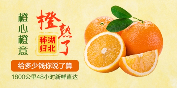 橙子活动banner