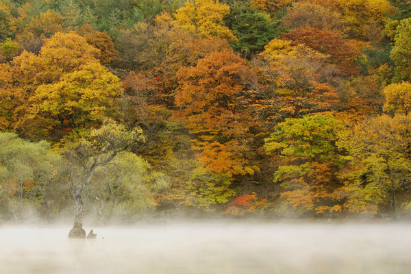 自然风景风景自然田园山水