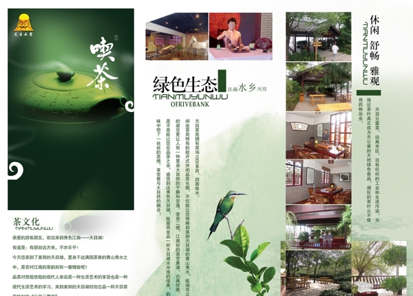 茶文化宣传折页图片