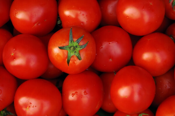 西红柿图片图片