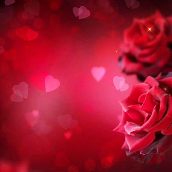 红玫瑰浪漫背景