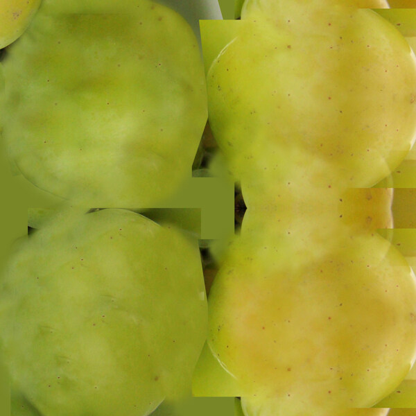 水果葡萄模型