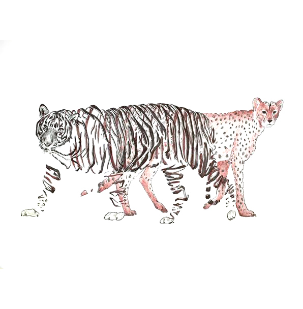 位图动物老虎豹子条形免费素材