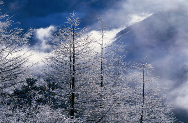 冬天雪景