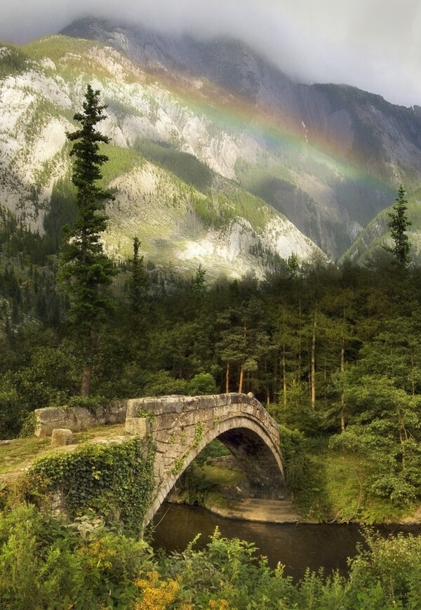 通向山中的石拱桥图片