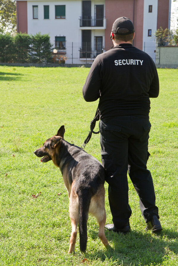猎犬和安保员图片