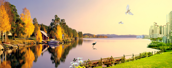 湖泊周边风景