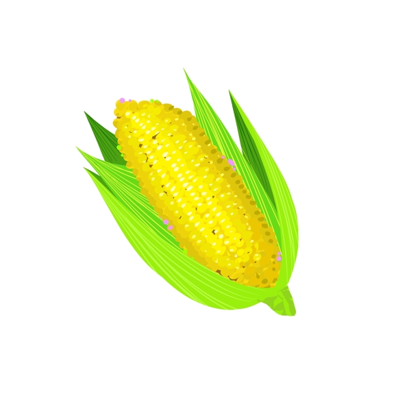 玉米免抠素材