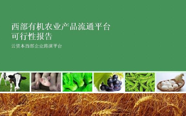 农产品流通平台可行性报告PPT