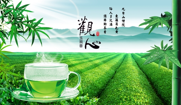 页面模块茶