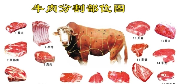 牛肉部位分割图图片