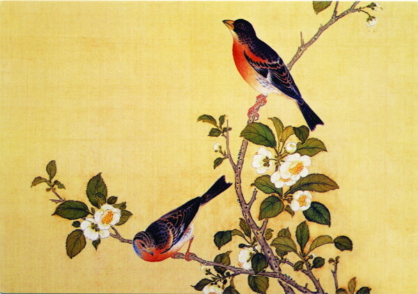 花鸟画中国古画传统国画17