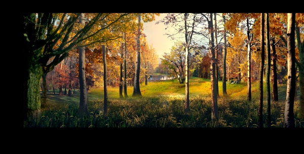 草坪草地自然景观设计效果图图片