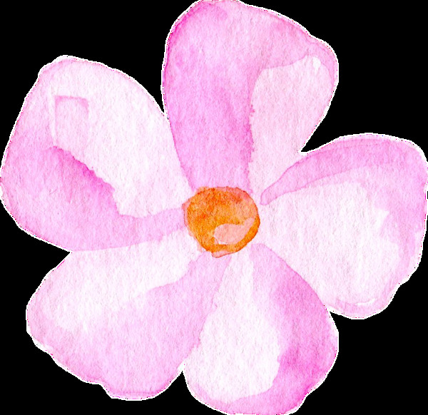 粉色渐变植物花卉卡通透明素材