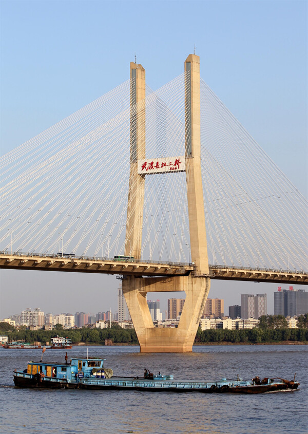 壮丽的武汉长江大桥