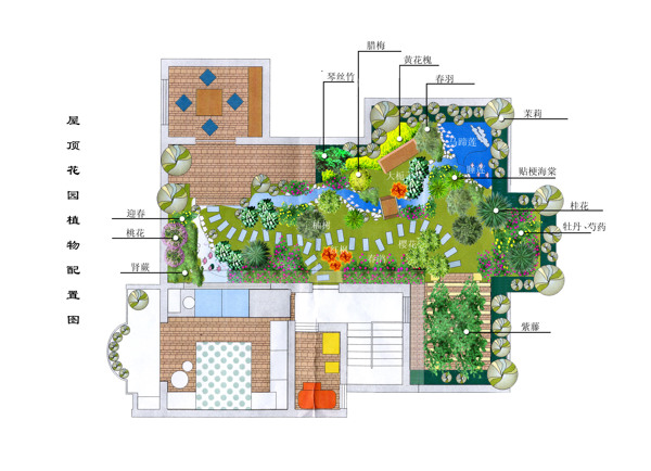 屋顶花园植物配置彩色平面图