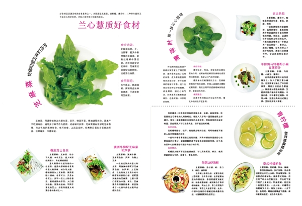 食材蔬菜图片