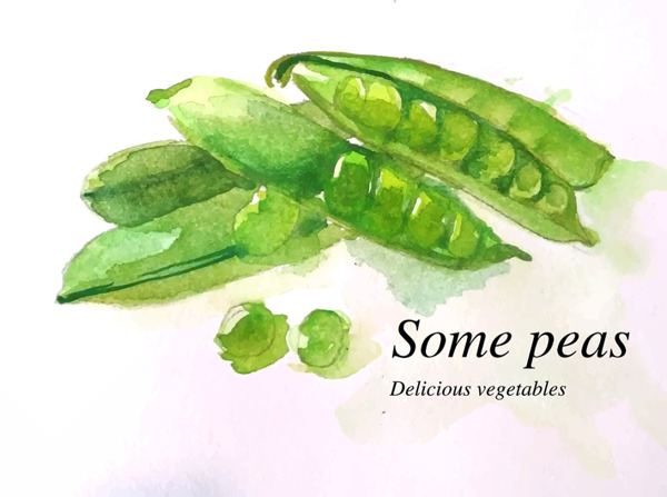 手绘水彩豌豆蔬菜