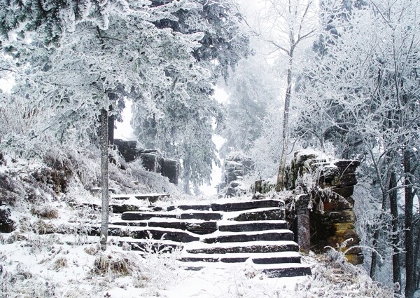 鬼谷岭183冬雪图片