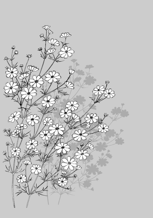 花卉花朵白描