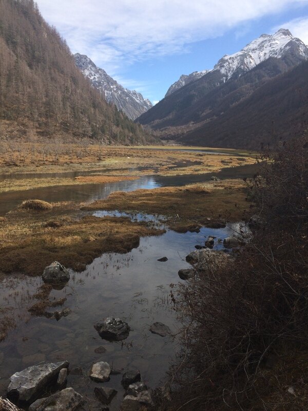 九寨沟七藏沟高原湿地雪