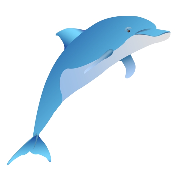 跳跃蓝色海豚