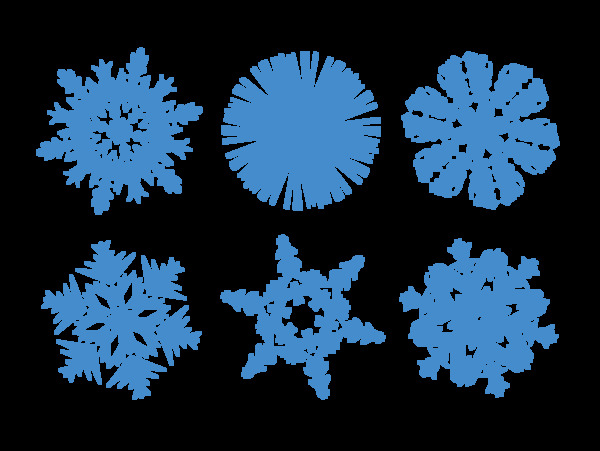 精致的透明的冬天的雪花