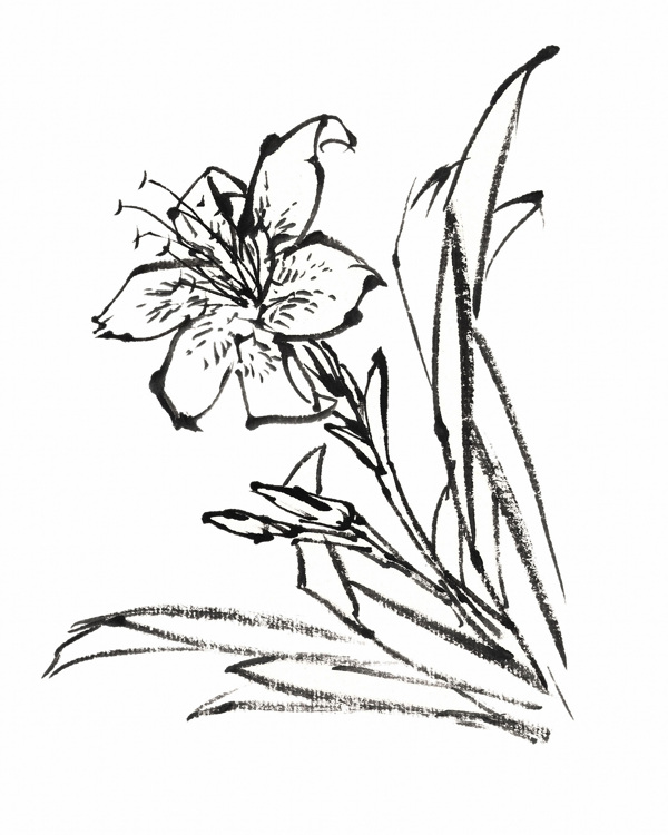 水墨花卉中国画