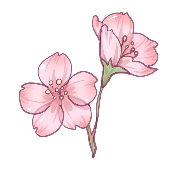 漂亮的粉色樱花插画