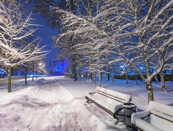公园夜晚雪景图片
